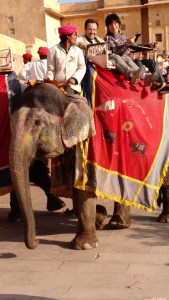 IMG_20151230_200617350