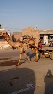 IMG_20160102_193459326