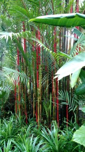 IMG_20160706_204913700_TOP