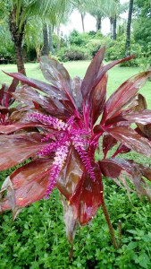 IMG_20160706_235318570