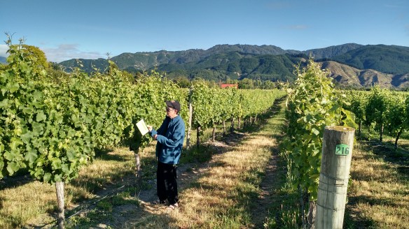 img_20161229_110846496_hdr