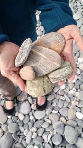 img_20170102_212428817