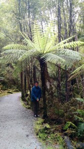 img_20170102_223252661