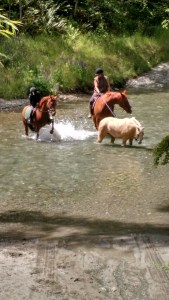 img_20170104_155638581_hdr