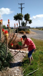 img_20170109_142239840