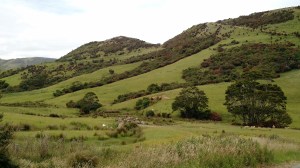 img_20170109_185722381