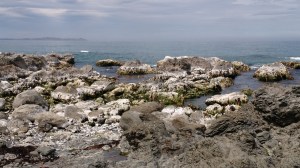 img_20170113_185253111