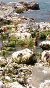 img_20170113_185547732