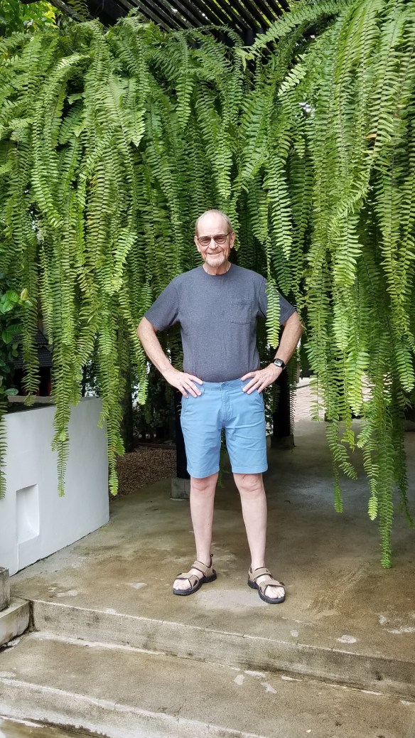 Screenshot_20190630-145401_Gallery